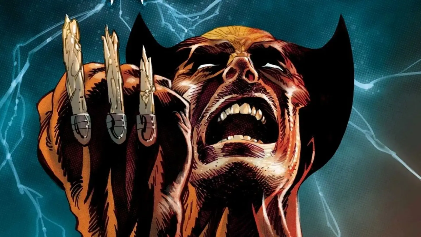 Novo Wolverine