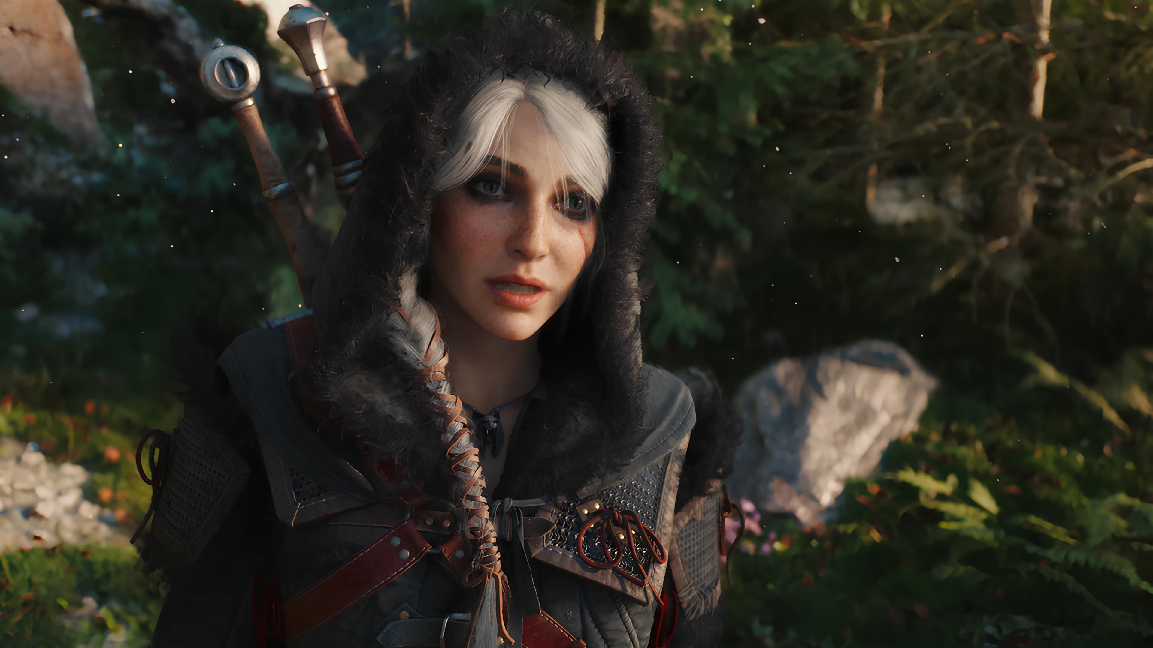 The Witcher IV
